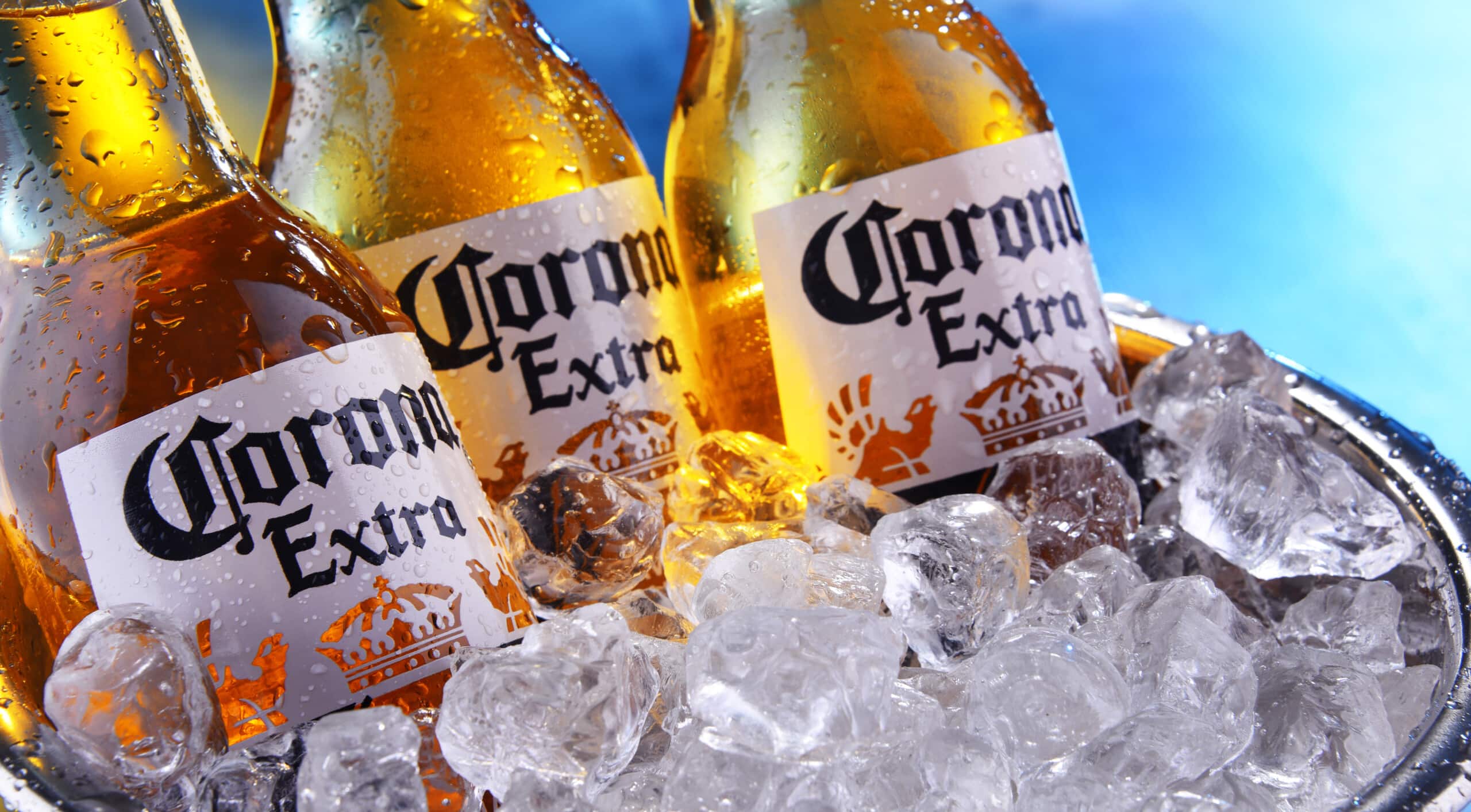 Cerveza Corona 355ml