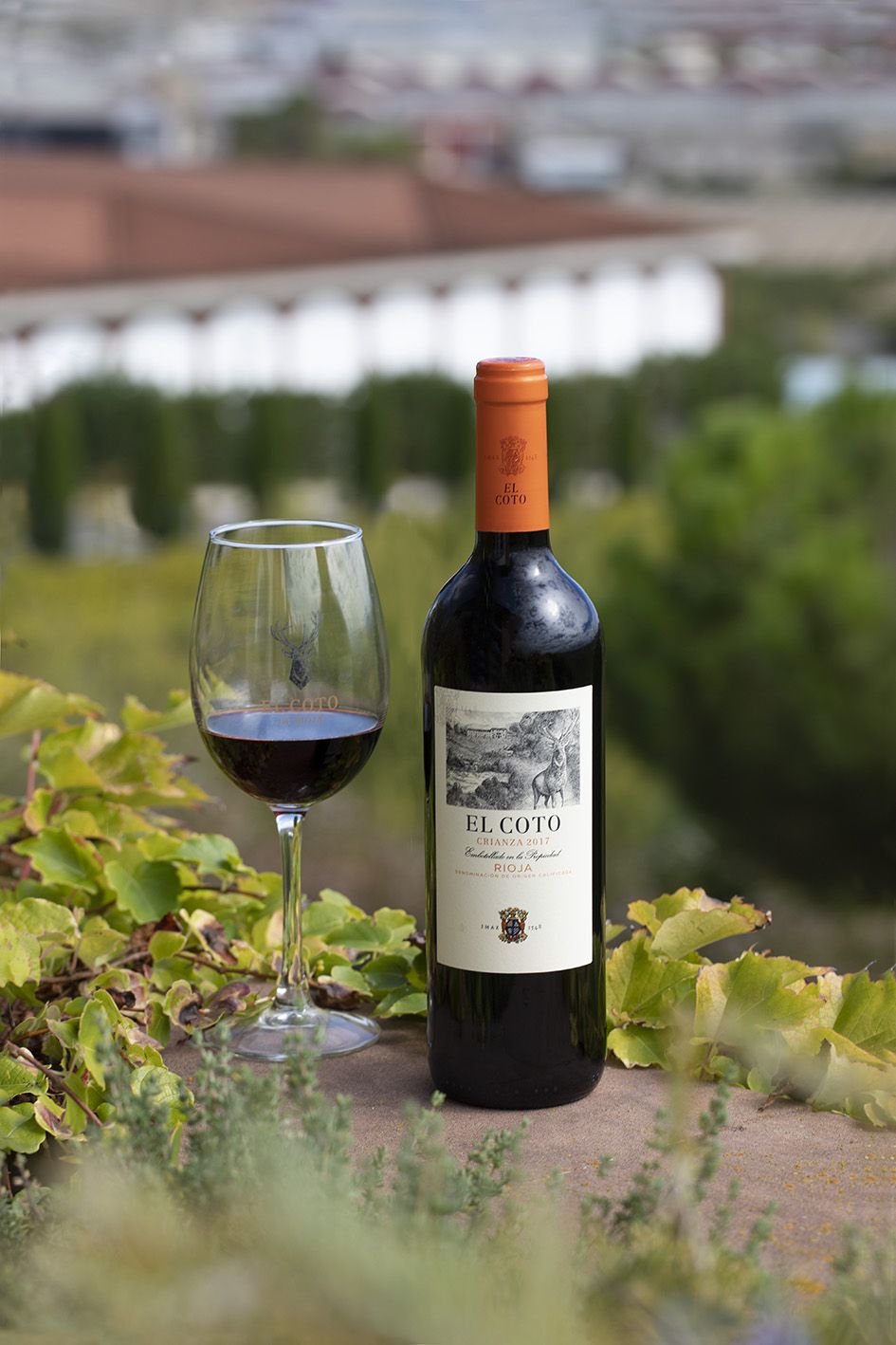 Vino Tinto